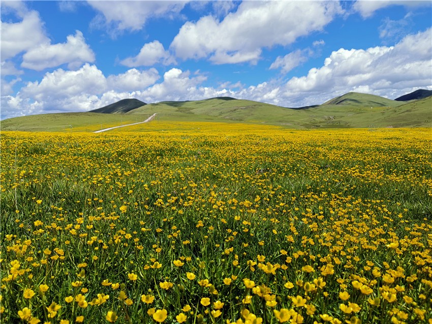 祝?；ê? 任剛.jpg