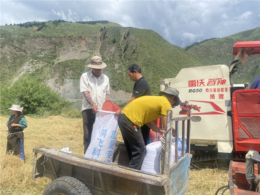 道孚3.jpg 道孚3.jpg