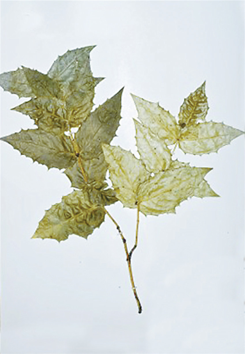 消失10 多年.jpg 消失10 多年.jpg